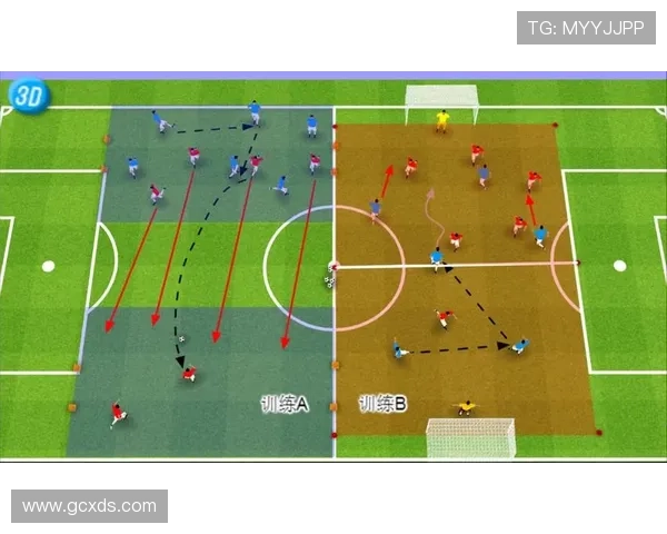 赛后分析:深圳足球队与成都足球队的实力对比与战术探讨